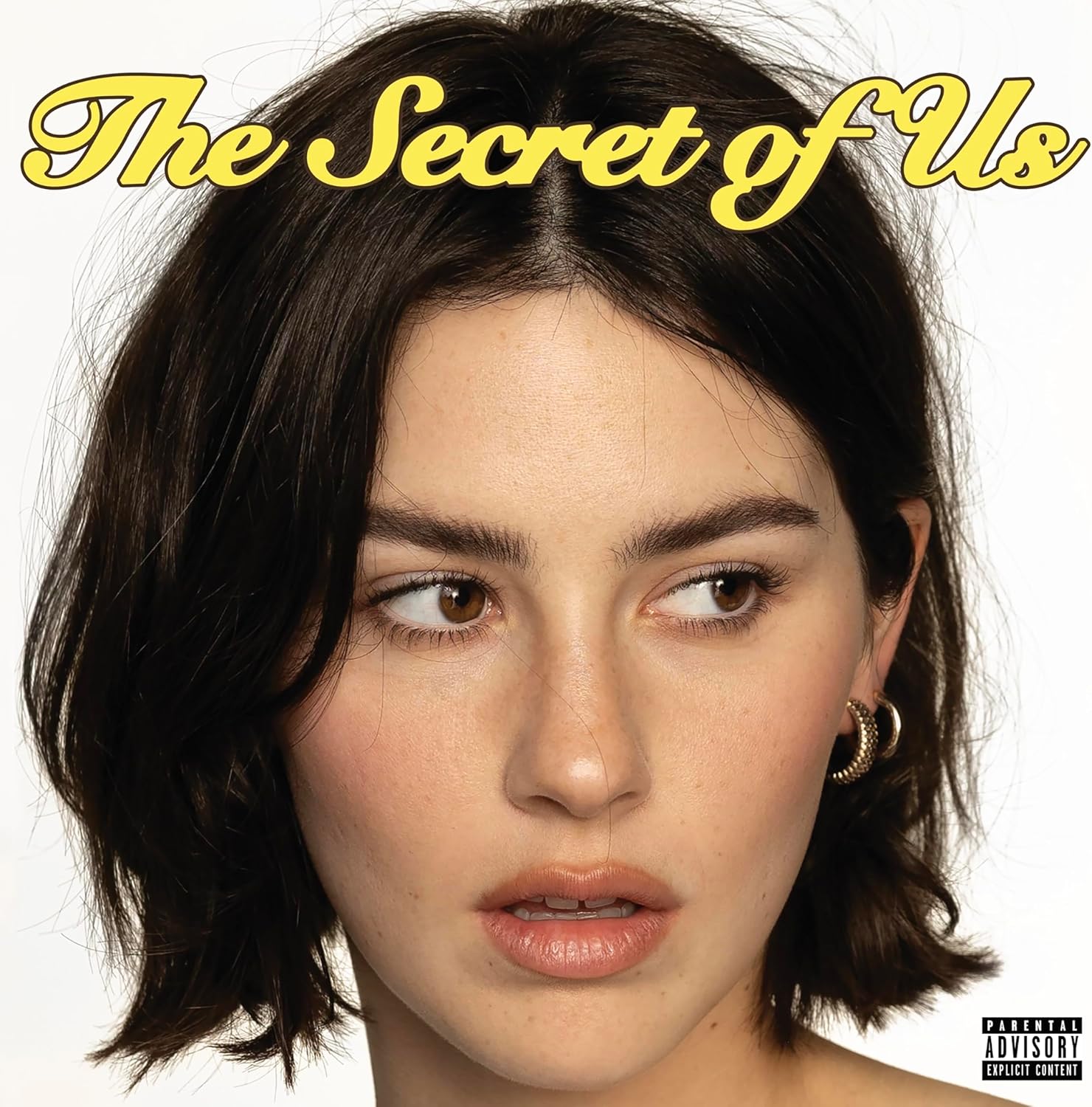 The Secret Of Us (Vinyl)