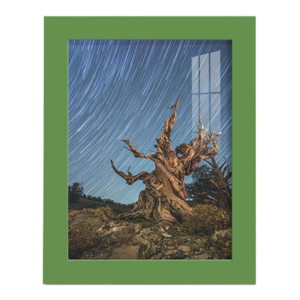 Modern 6 in. x 8 in. Green Picture Frame